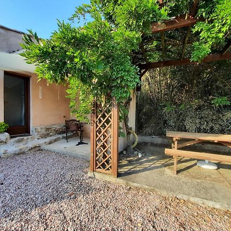 Le Lodge Des Chenes Brousses-et-Villaret Esterno foto