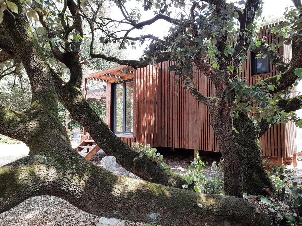 Le Lodge Des Chenes Brousses-et-Villaret Esterno foto