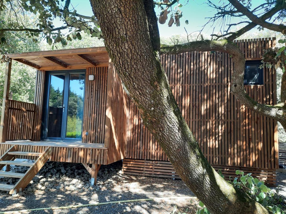 Le Lodge Des Chenes Brousses-et-Villaret Esterno foto