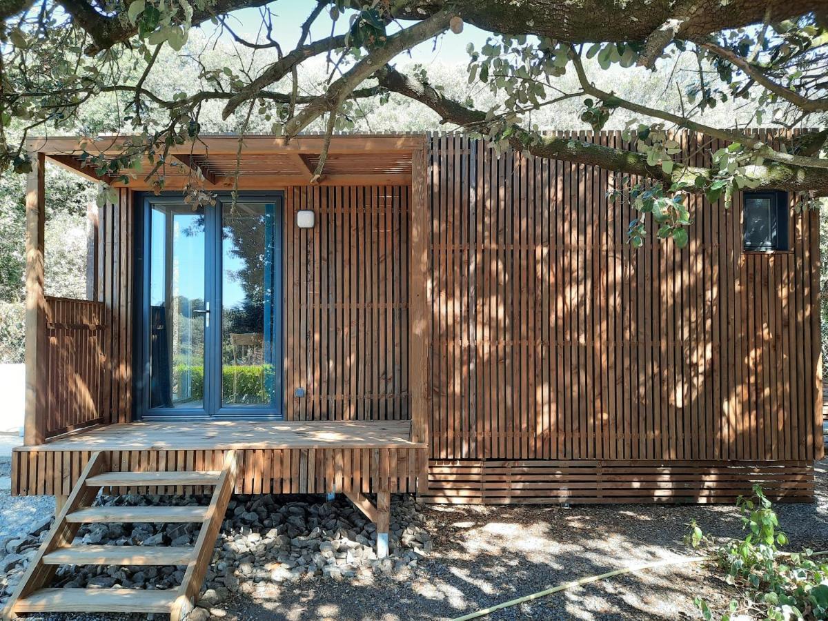 Le Lodge Des Chenes Brousses-et-Villaret Esterno foto