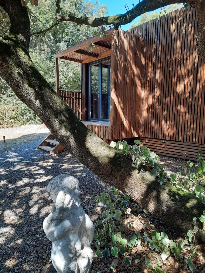 Le Lodge Des Chenes Brousses-et-Villaret Esterno foto