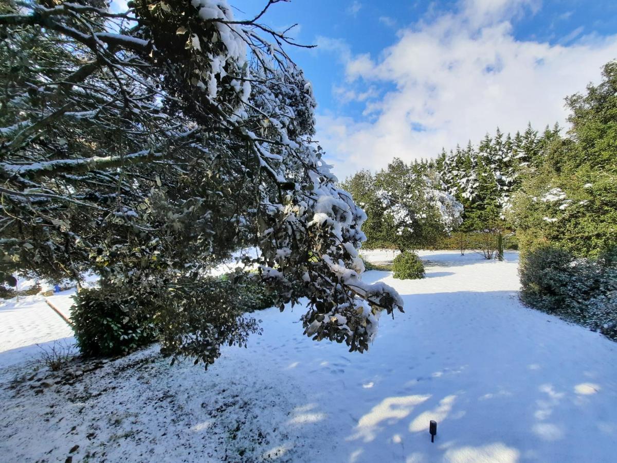 Le Lodge Des Chenes Brousses-et-Villaret Esterno foto
