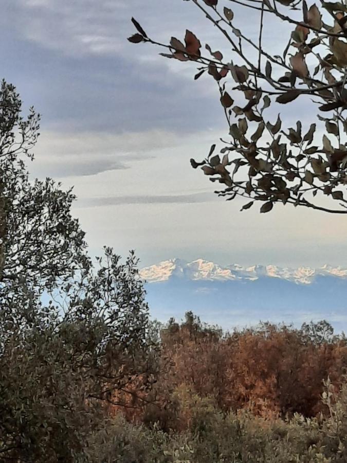 Le Lodge Des Chenes Brousses-et-Villaret Esterno foto